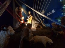 20181224_200944.jpg