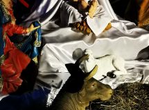 IMG_20201225_181416.jpg